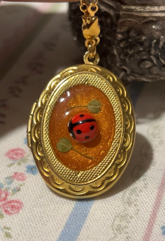 Lady Luck Locket 🐞