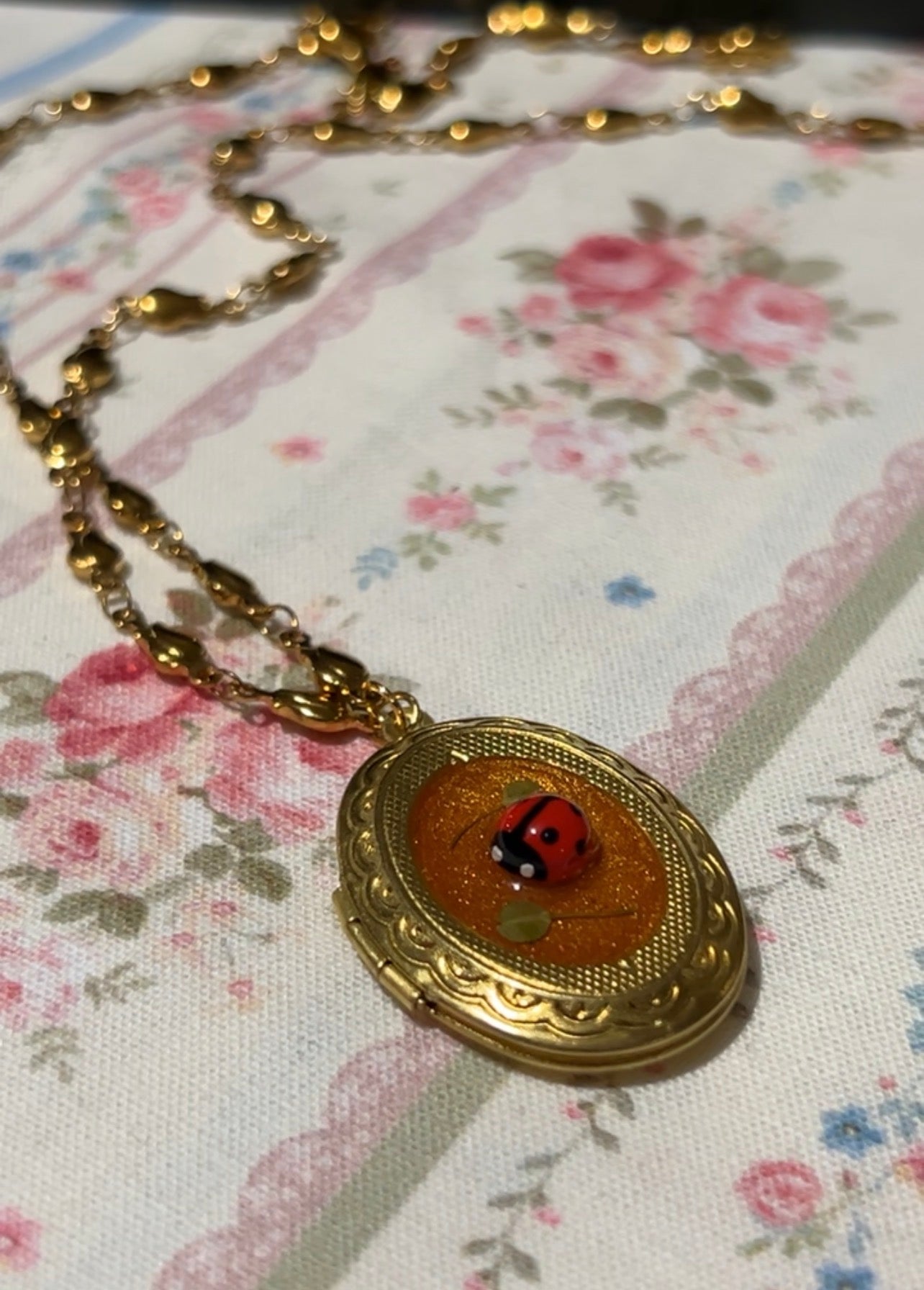 Lady Luck Locket 🐞