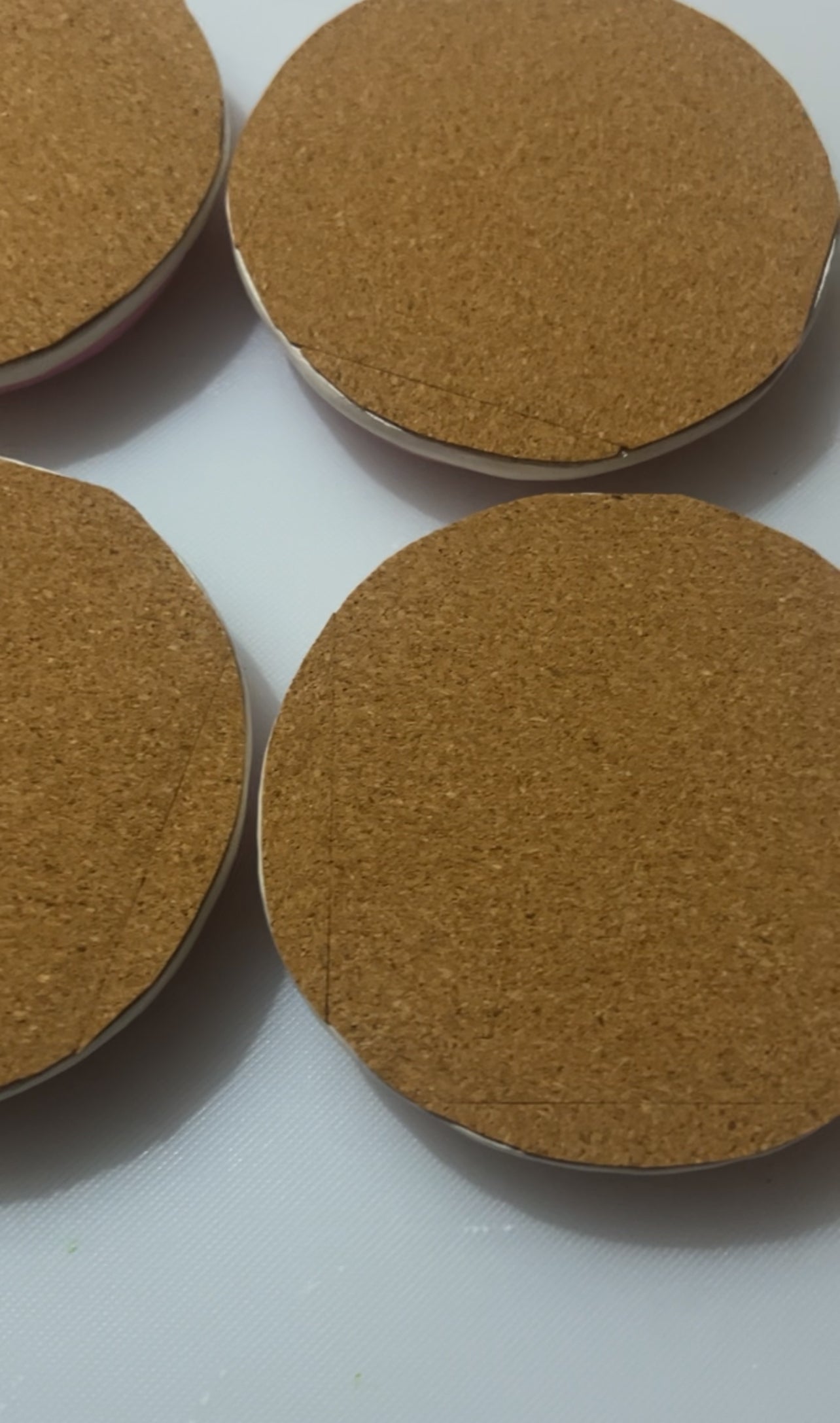 Frosted Sugar cookie coasters 4 pc