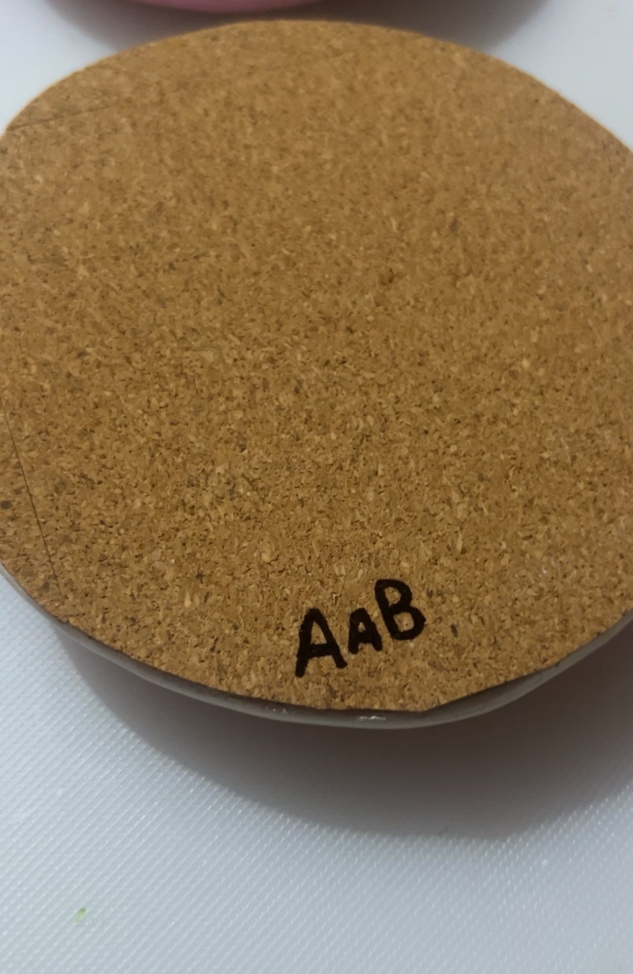 Frosted Sugar cookie coasters 4 pc