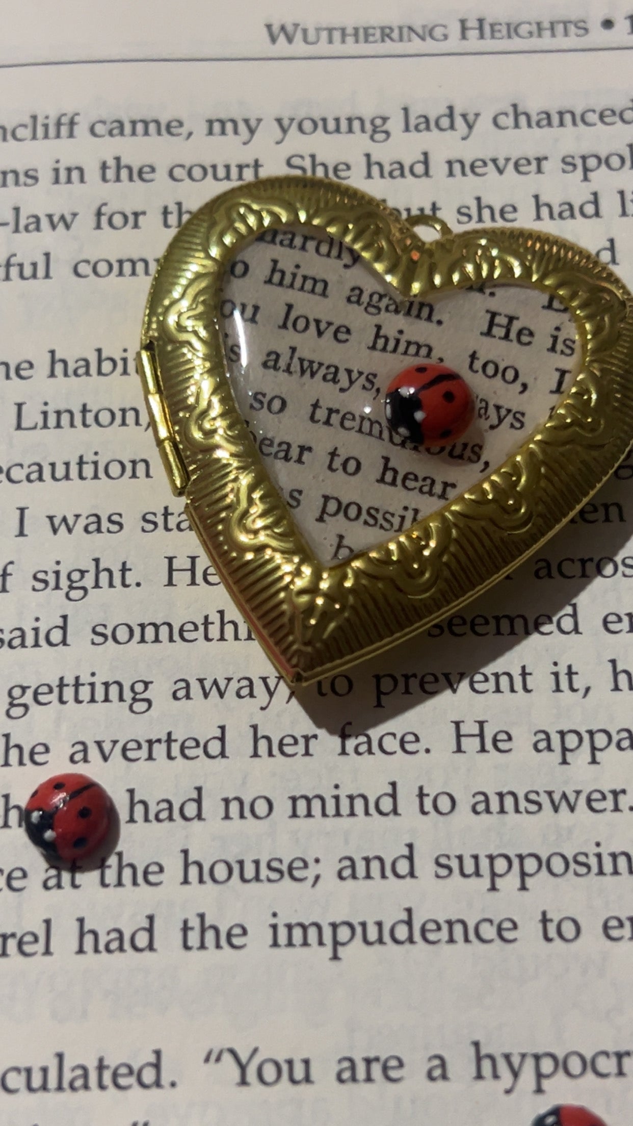 Lady literature (silver and gold)