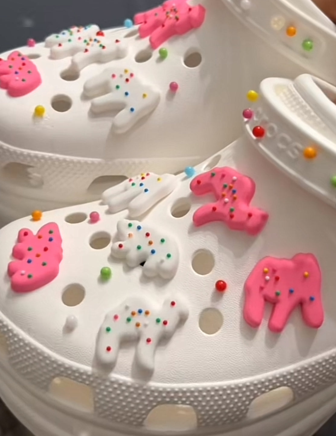 6-pack circus animal cookie clog shoe charms